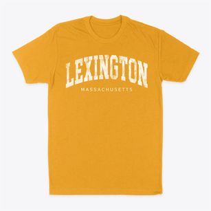 Lexington Massachusetts Urban Vibe Classic Dad T-Shirt