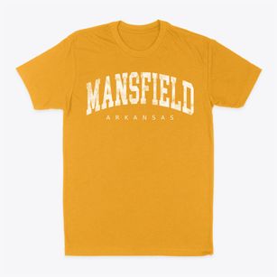 Mansfield Arkansas Urban Vibe Classic Dad T-Shirt