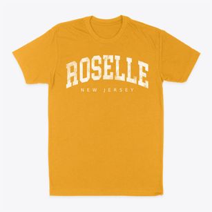 Roselle New Jersey Urban Vibe Classic Dad T-Shirt