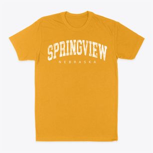 Springview Nebraska Urban Vibe Classic Dad T-Shirt