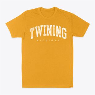 Twining Michigan Urban Vibe Classic Dad T-Shirt