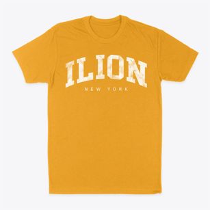 Ilion New York Urban Vibe Classic Dad T-Shirt