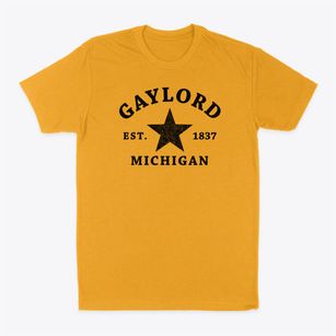 Gaylord Michigan Star Classic Dad T-Shirt