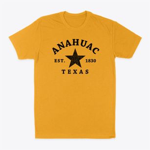 Anahuac Texas Star Classic Dad T-Shirt