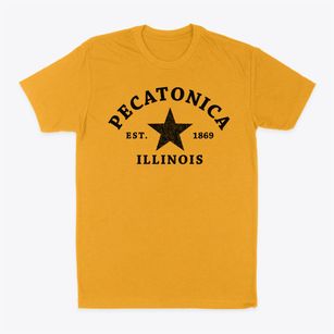 Pecatonica Illinois Star Classic Dad T-Shirt
