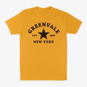 Greenvale New York Star Classic Dad T-Shirt