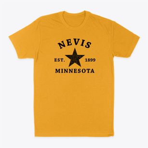 Nevis Minnesota Star Classic Dad T-Shirt
