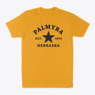 Palmyra Nebraska Star Classic Dad T-Shirt