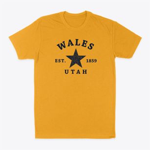 Wales Utah Star Classic Dad T-Shirt