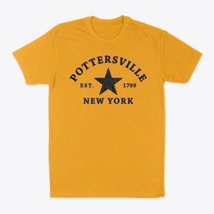 Pottersville New York Star Classic Dad T-Shirt