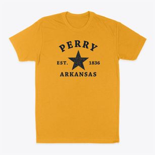 Perry Arkansas Star Classic Dad T-Shirt