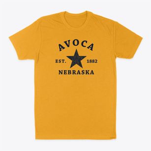Avoca Nebraska Star Classic Dad T-Shirt