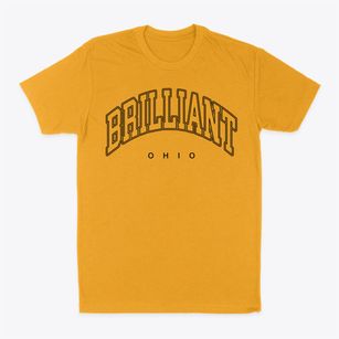 Brilliant Ohio Inline Classic Dad T-Shirt