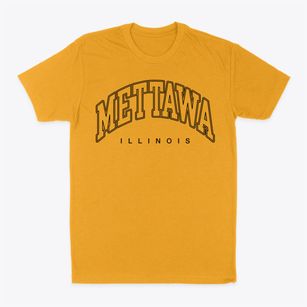 Mettawa Illinois Inline Classic Dad T-Shirt