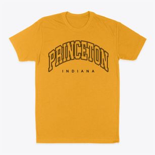 Princeton Indiana Inline Classic Dad T-Shirt