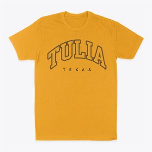 Tulia Texas Inline Classic Dad T-Shirt