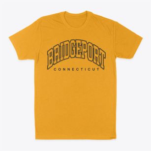 Bridgeport Connecticut Inline Classic Dad T-Shirt