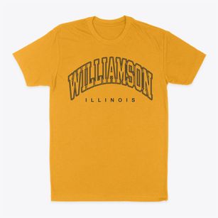 Williamson Illinois Inline Classic Dad T-Shirt