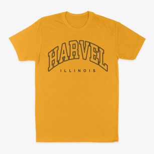 Harvel Illinois Inline Classic Dad T-Shirt