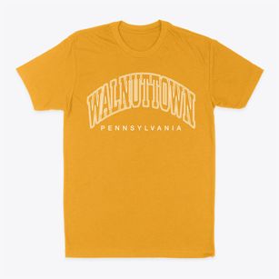 Walnuttown Pennsylvania Inline Classic Dad T-Shirt