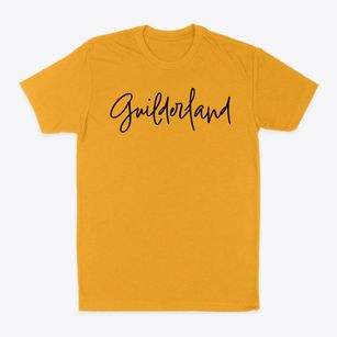 Guilderland New York Freestyle Classic Dad T-Shirt