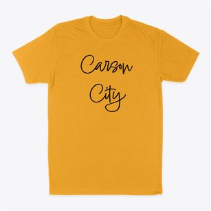 Carson City Michigan Freestyle Classic Dad T-Shirt