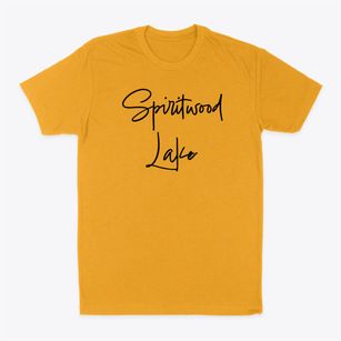 Spiritwood Lake North Dakota Freestyle Classic Dad T-Shirt