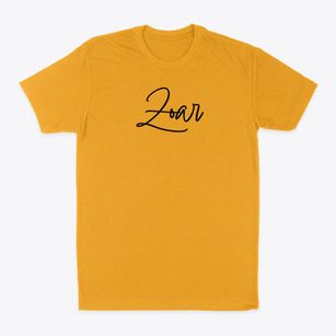 Zoar Delaware Freestyle Classic Dad T-Shirt