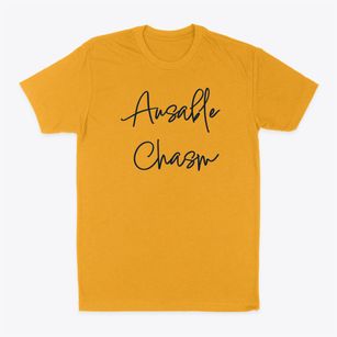 Ausable Chasm New York Freestyle Classic Dad T-Shirt