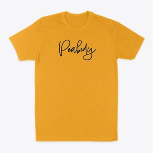 Peabody Massachusetts Freestyle Classic Dad T-Shirt