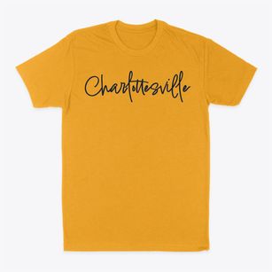 Charlottesville Virginia Freestyle Classic Dad T-Shirt