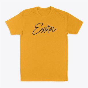 Exeter New York Freestyle Classic Dad T-Shirt