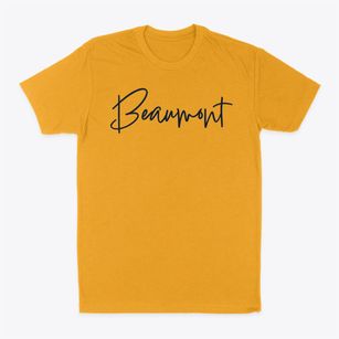Beaumont Texas Freestyle Classic Dad T-Shirt