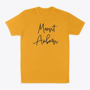 Mount Auburn Illinois Freestyle Classic Dad T-Shirt