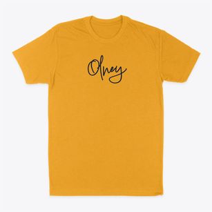 Olney Illinois Freestyle Classic Dad T-Shirt