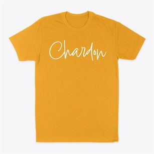 Chardon Ohio Freestyle Classic Dad T-Shirt