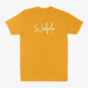 Walpole Massachusetts Freestyle Classic Dad T-Shirt