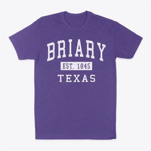 Briary Texas Classic Established Classic Dad T-Shirt
