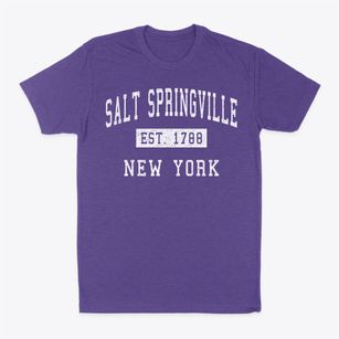 Salt Springville New York Classic Established Classic Dad T-Shirt