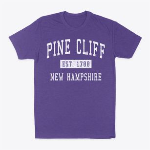 Pine Cliff New Hampshire Classic Established Classic Dad T-Shirt