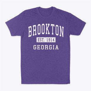 Brookton Georgia Classic Established Classic Dad T-Shirt
