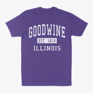 Goodwine Illinois Classic Established Classic Dad T-Shirt