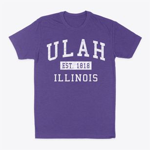 Ulah Illinois Classic Established Classic Dad T-Shirt
