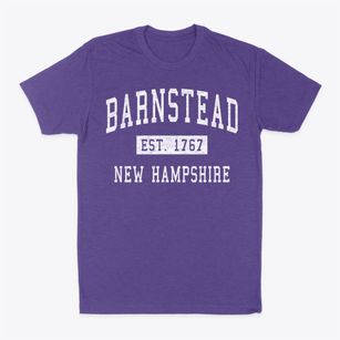 Barnstead New Hampshire Classic Established Classic Dad T-Shirt