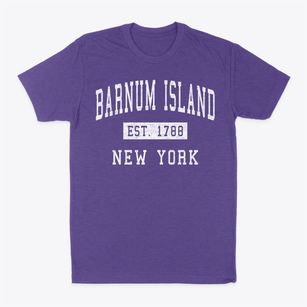 Barnum Island New York Classic Established Classic Dad T-Shirt