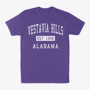 Vestavia Hills Alabama Classic Established Classic Dad T-Shirt