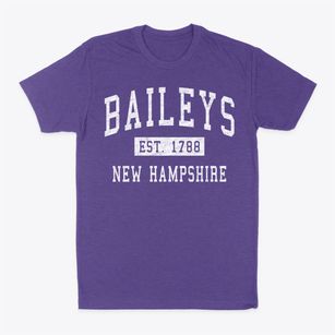 Baileys New Hampshire Classic Established Classic Dad T-Shirt