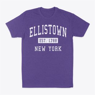 Ellistown New York Classic Established Classic Dad T-Shirt