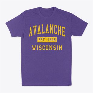 Avalanche Wisconsin Classic Established Classic Dad T-Shirt