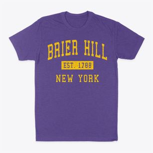 Brier Hill New York Classic Established Classic Dad T-Shirt
